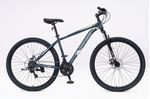 Bicicleta-Mtb-Wings-Rodado-29-Talle-18-21-Velocidades-Verde