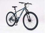 Bicicleta-Mtb-Wings-Rodado-29-Talle-18-21-Velocidades-Verde