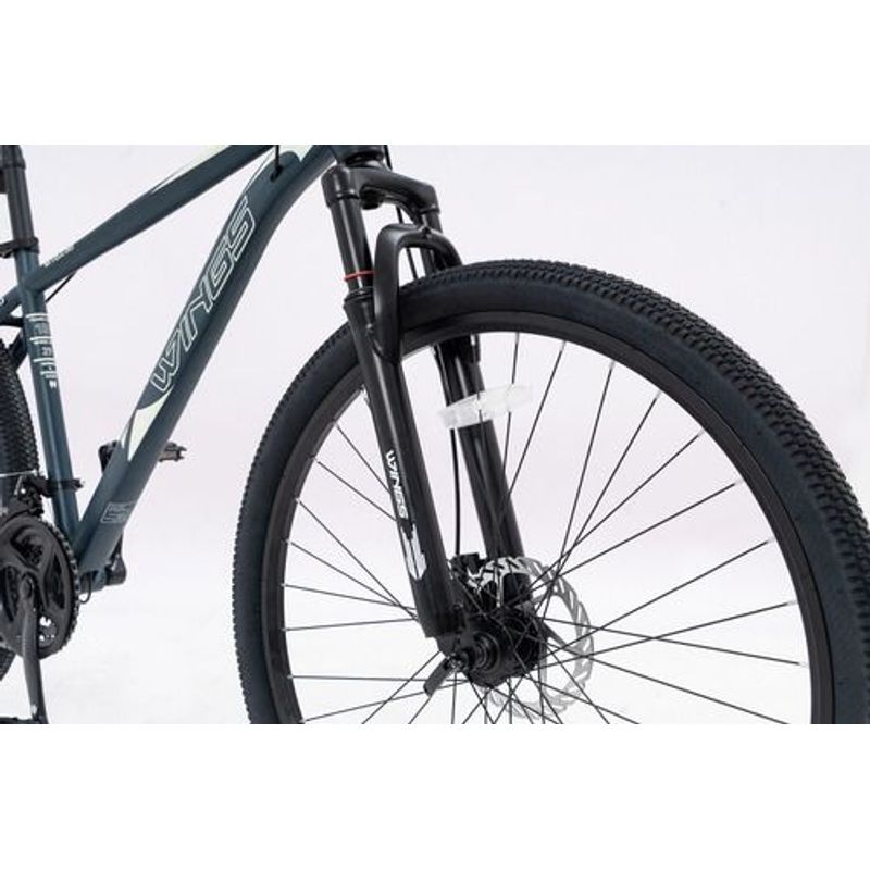 Bicicleta-Mtb-Wings-Rodado-29-Talle-18-21-Velocidades-Verde