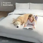 PROGRAMAS